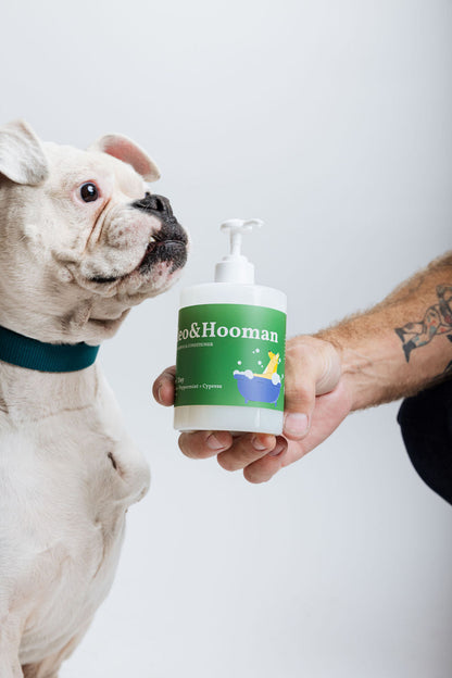 Dog looking at a bottle labeled 'Hooman' held by a person against a white background