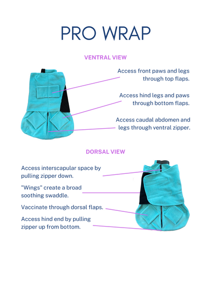 Pro Cat Wrap examination and care-access overview