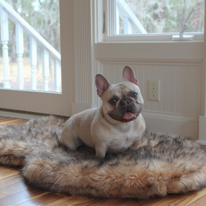 PupRug Curve Sable Tan dog bed lifestyle image
