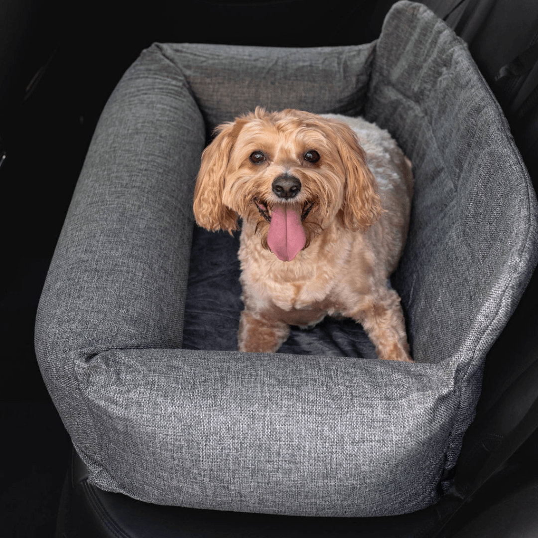 Dog viewed from above in the performance tweed car bed