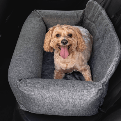 Dog viewed from above in the performance tweed car bed