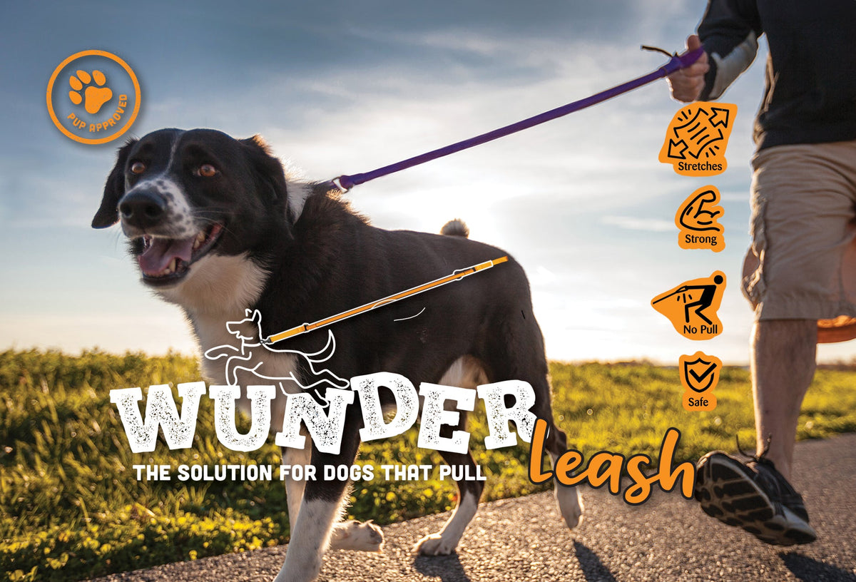 WUNDERleash - No-Pull Dog Leash