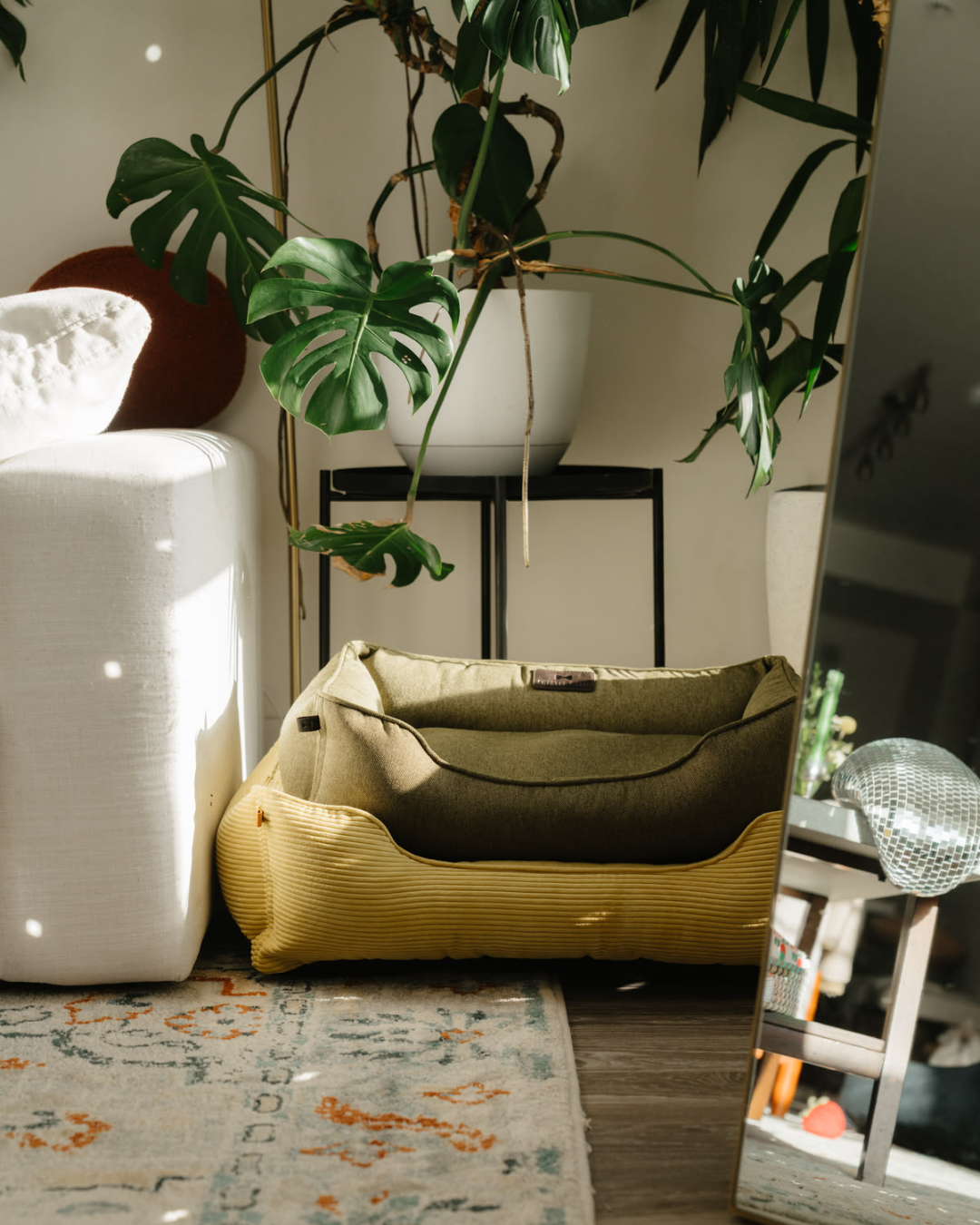 Cotton Sleeper Dog Bed - Olive product information graphic