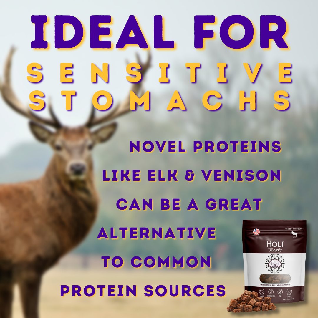 HOLI Elk & Venison Dog Treats product image