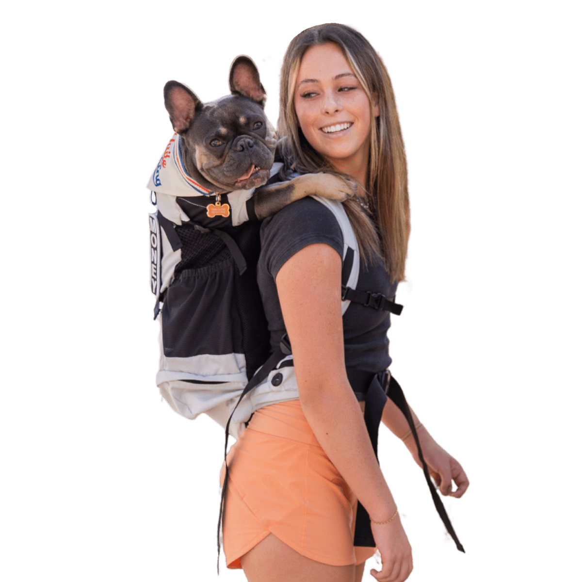 K9 Sport Sack Knavigate dog carrier backpack