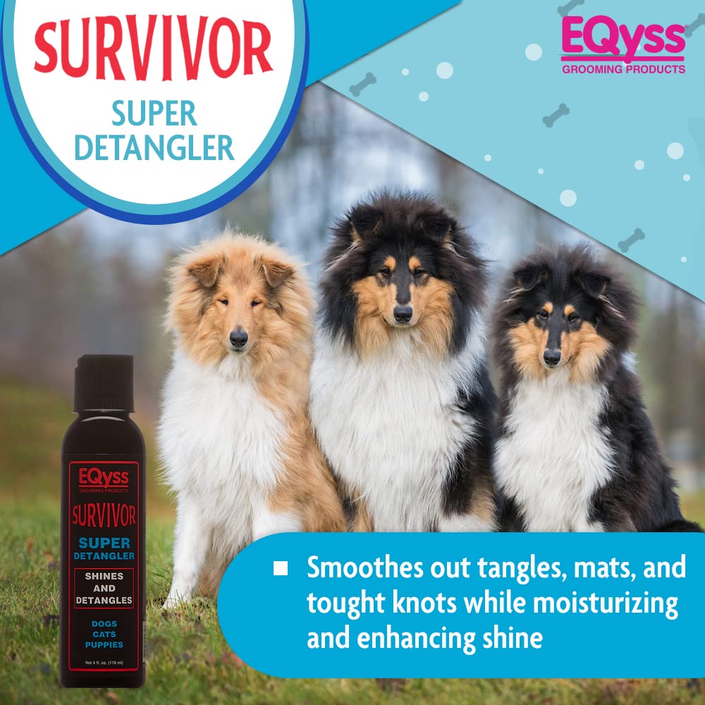 Survivor Detangler — alternate product view 2