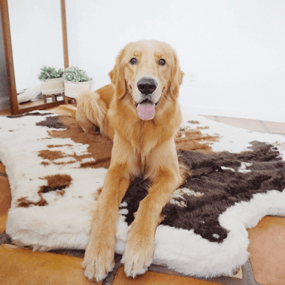 Additional view of PupRug® Animal Print Memory Foam Dog Bed - Brown Faux Cowhide — view 9