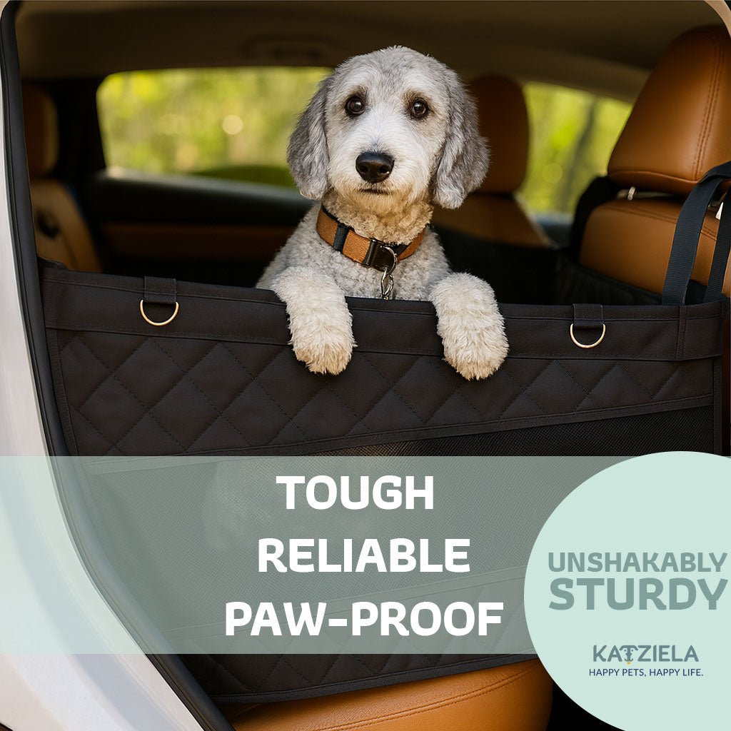 Katziela Double-Seat Dog Car Seat Cover