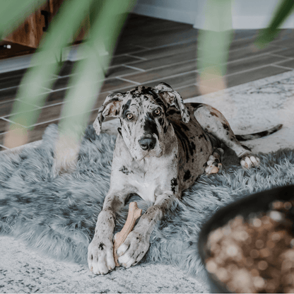 Additional view of PupRug® Faux Fur Orthopedic Dog Bed - Curve Charcoal Grey — view 13