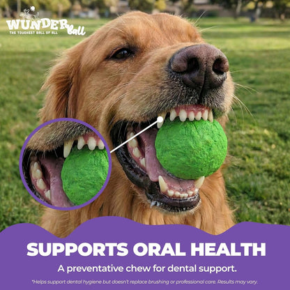 WUNDERball - Natural Rubber Fetch Toy