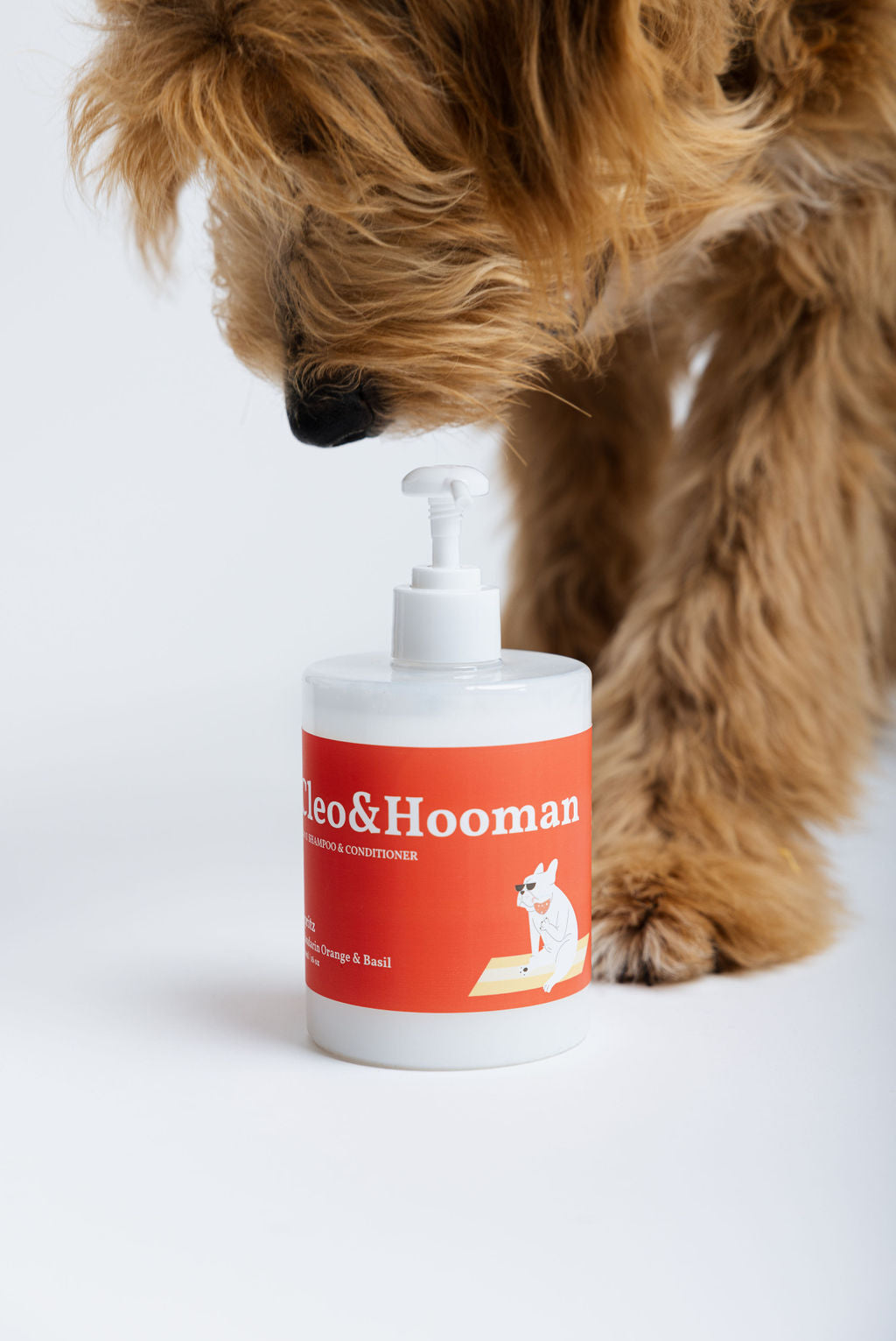 Dog interacting with a bottle of Hooman pet product on a white background