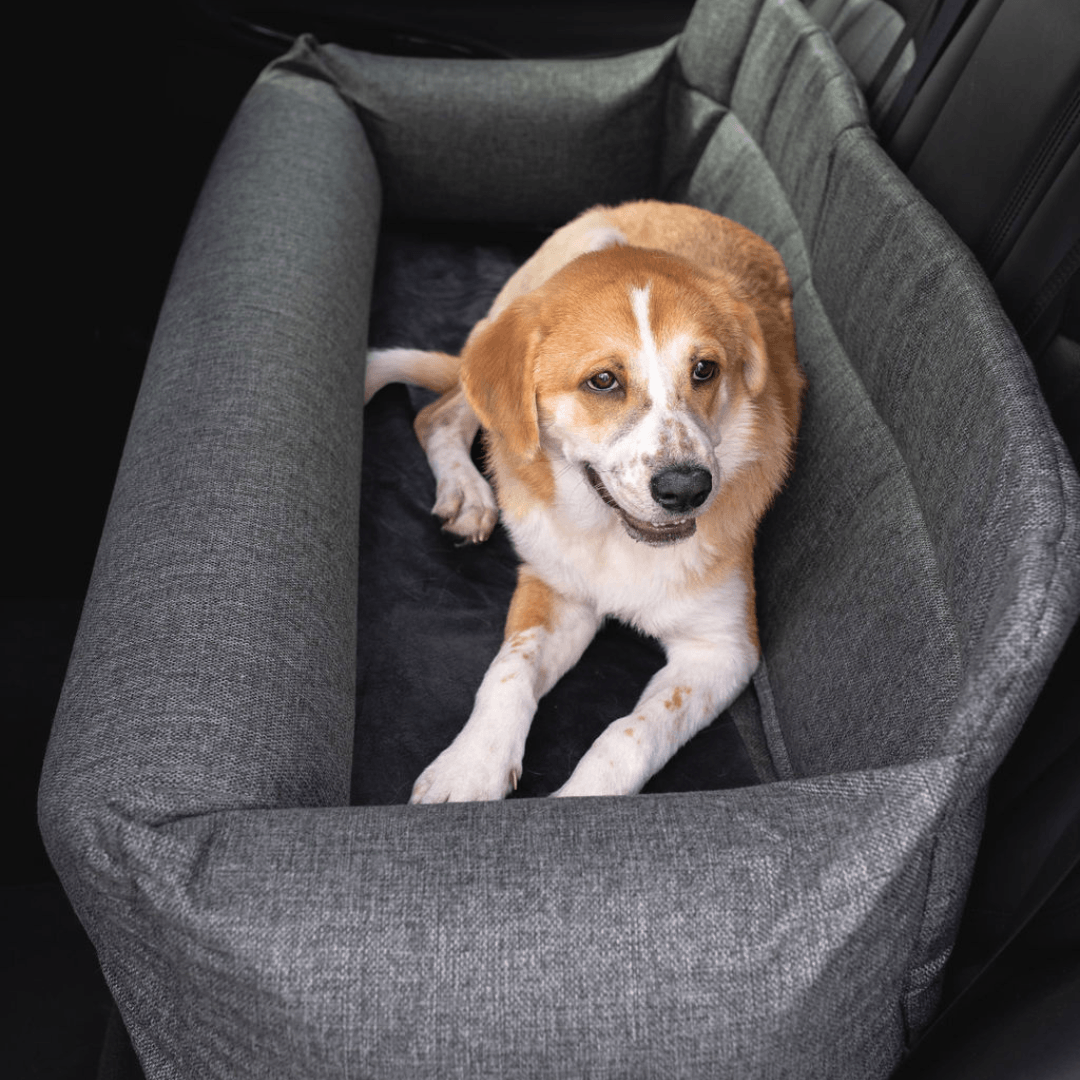 Dog sitting in the gray performance tweed dog car bed