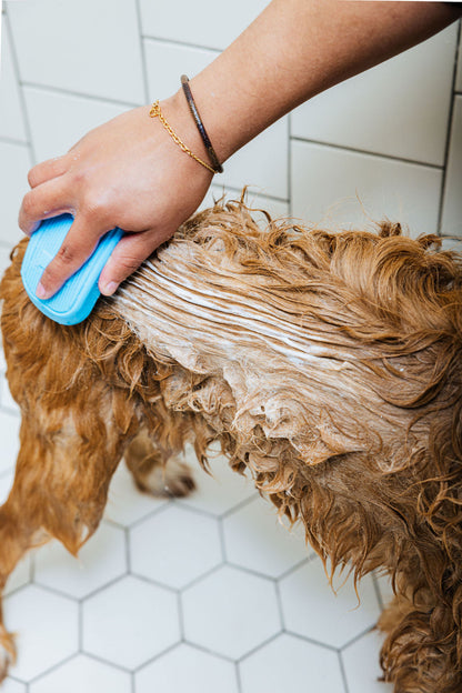 Person grooming a dog with a blue brush on a tiled floor
