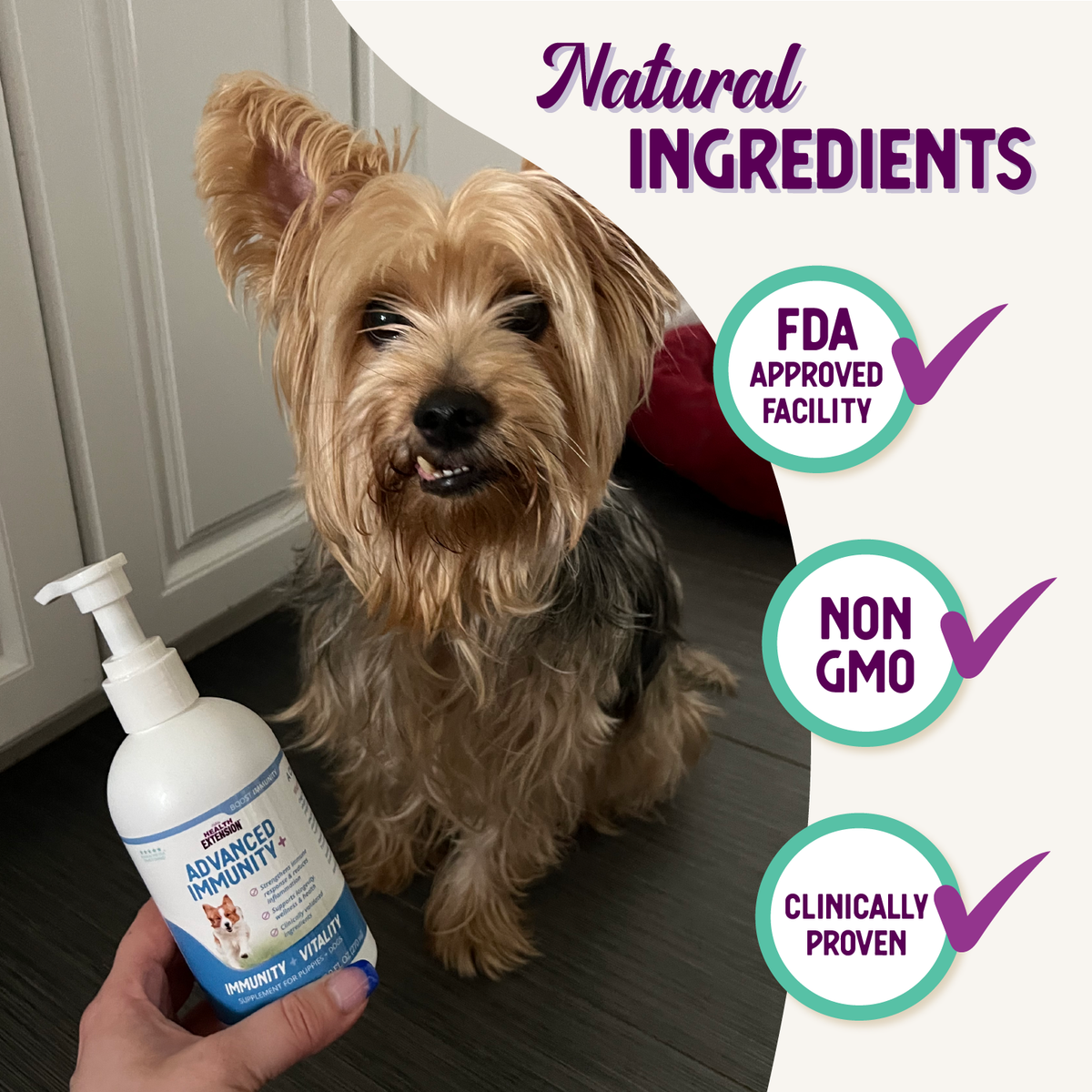 Health Extension Advanced Immunity+ ingredients and product information graphic