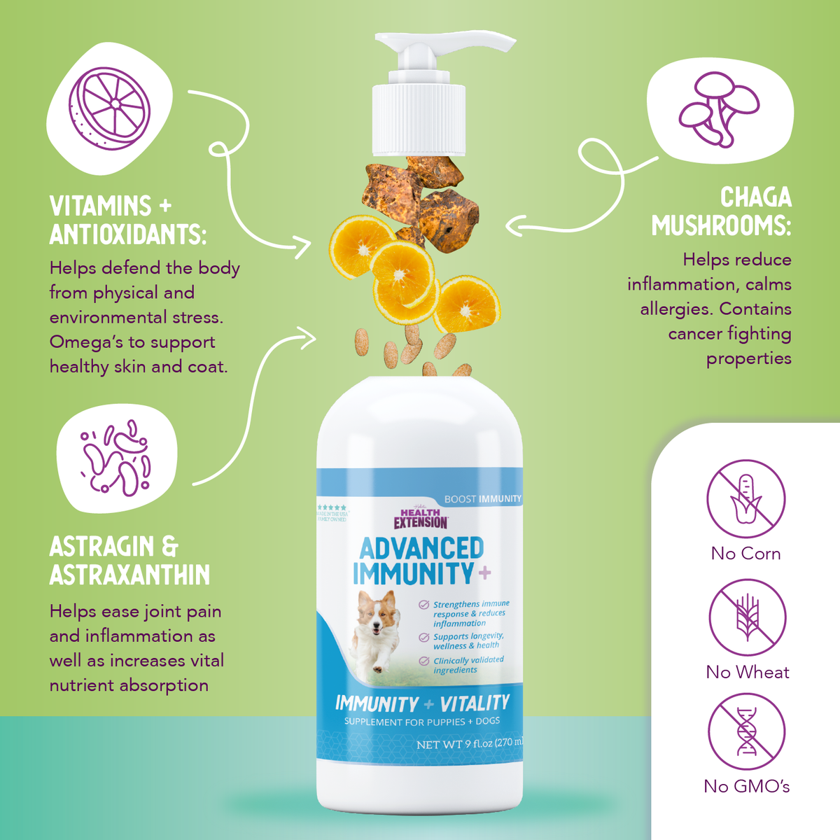 Health Extension Advanced Immunity+ supplement information graphic