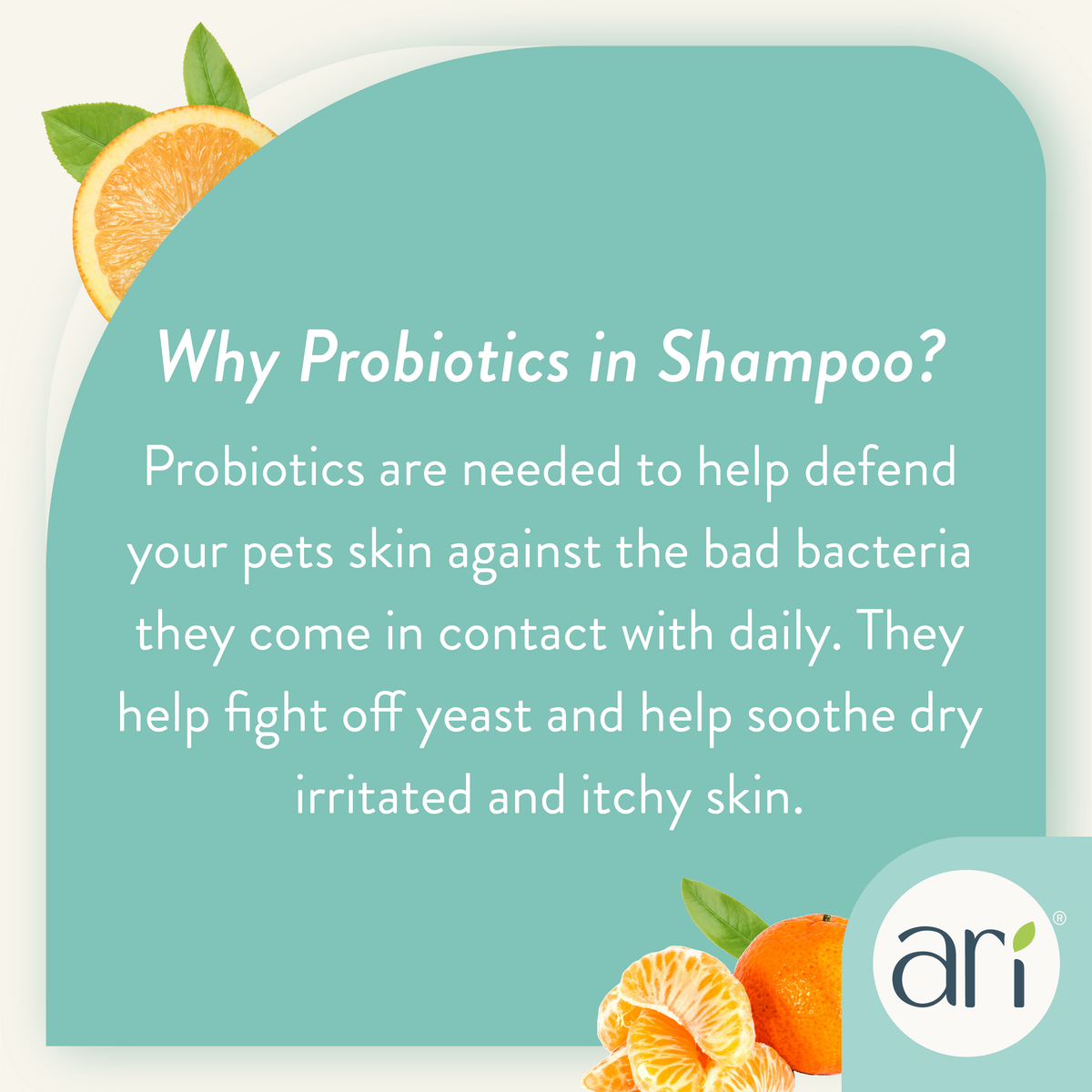Health Extension ARI Probiotic 2 in 1 Shampoo + Conditioner grooming information graphic