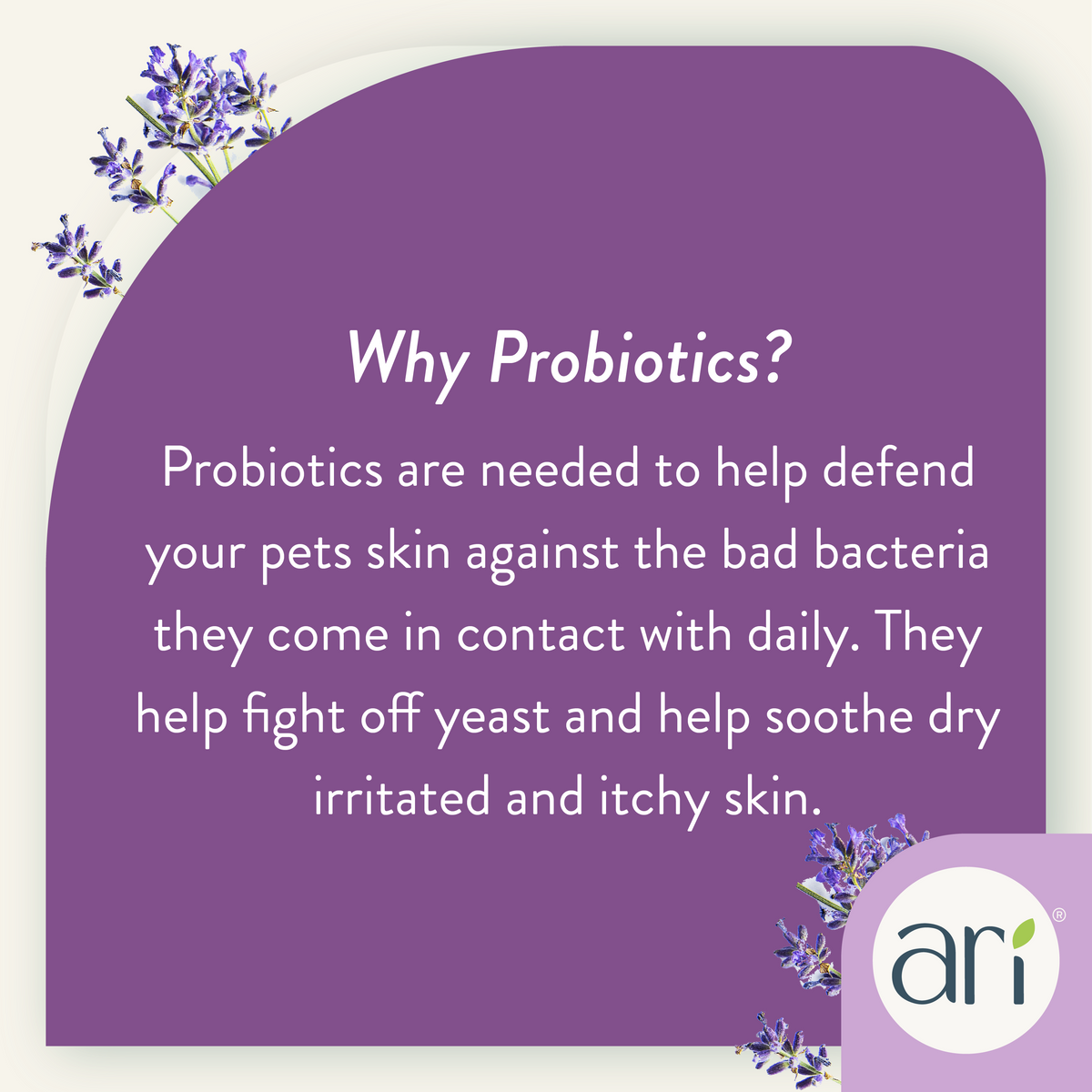 Health Extension ARI Probiotic Deodorizer Spray - Lavender & Eucalyptus grooming information graphic