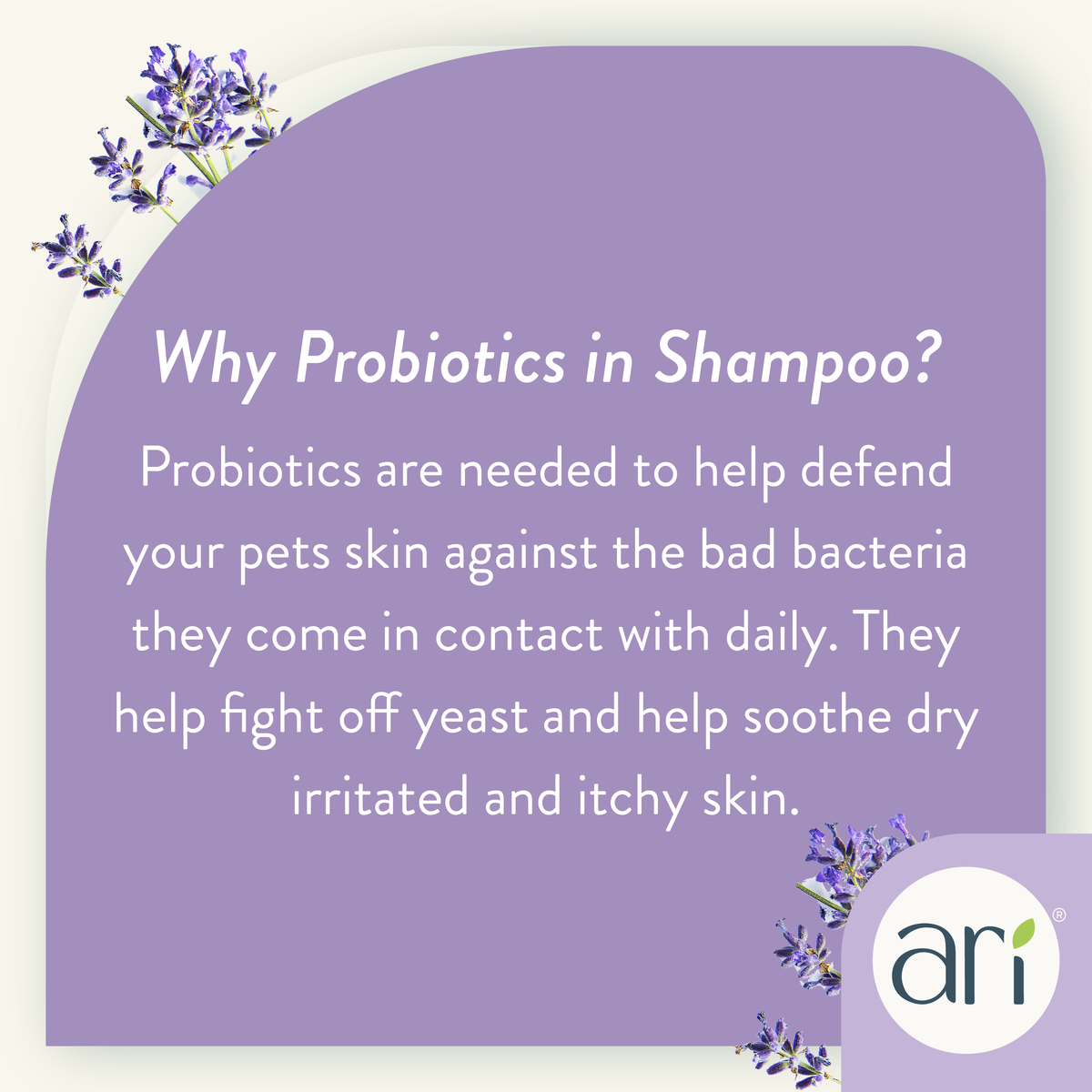 Health Extension ARI Probiotic Sensitive Skin Shampoo grooming information graphic