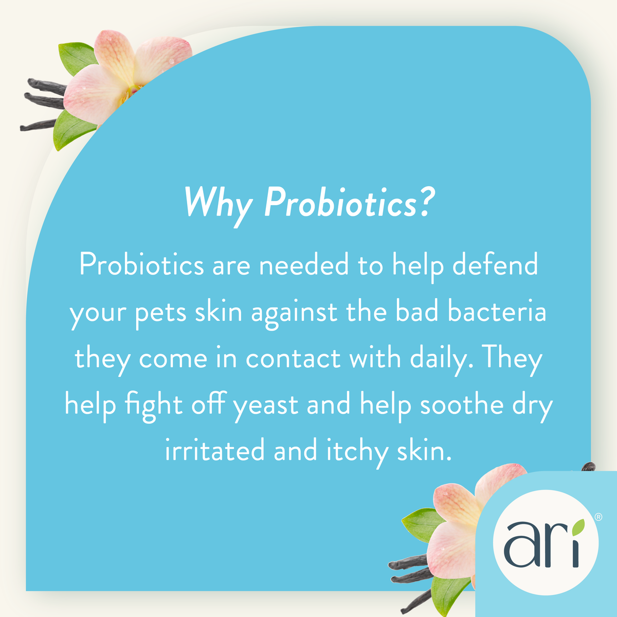 Health Extension ARI Probiotic Deodorizer Spray - Vanilla & Almond grooming information graphic