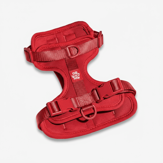 Arnés AdventurePro de The Wild Paw en rojo