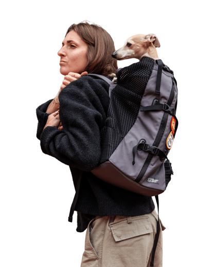 K9 Sport Sack Air dog carrier backpack in use