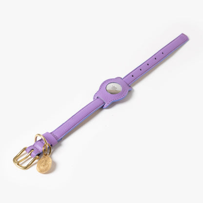 Fairy AirTag Holder attached to compatible collar