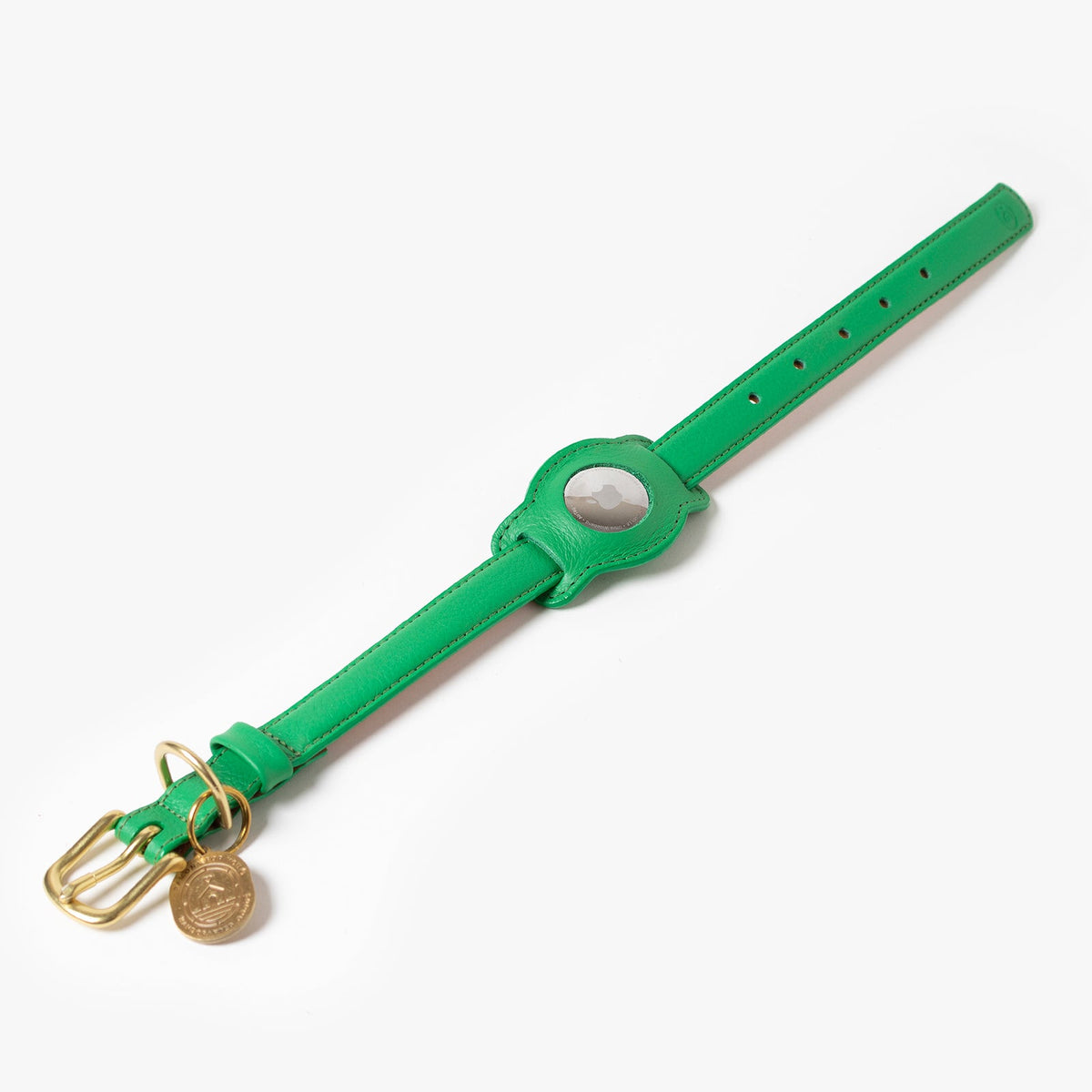 Spring AirTag Holder attached to compatible collar