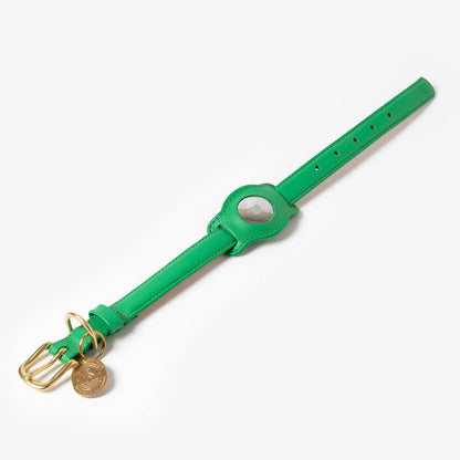 Spring AirTag Holder attached to compatible collar