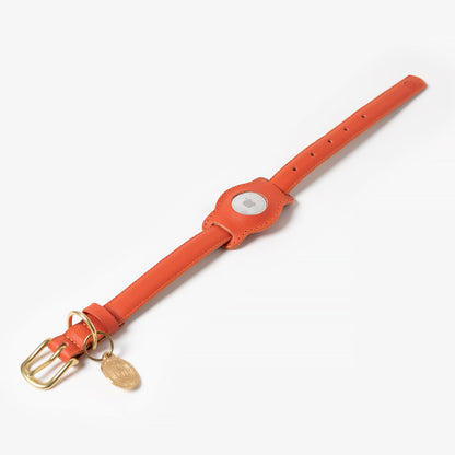 Sunset AirTag Holder attached to compatible collar