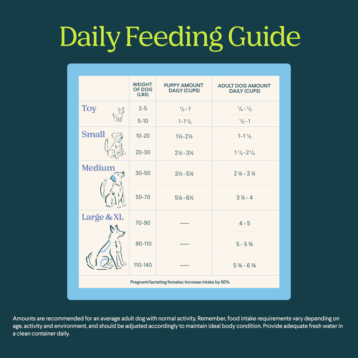 Product information for Silver Carp Dog Food