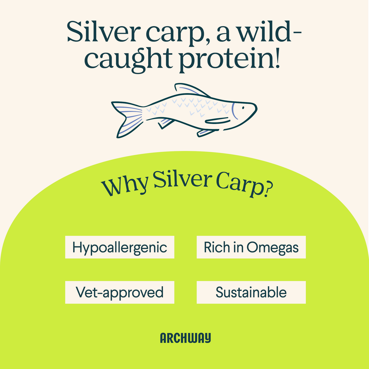 Product information for Silver Carp Dog Food — view 2