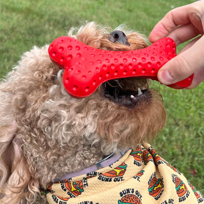 Alpha Pak Arlo's Favorite Rubber Bone - lifestyle view