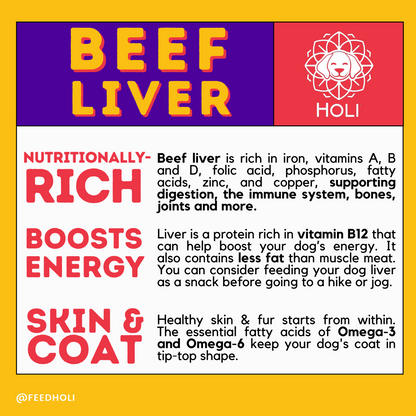 HOLI Freeze-Dried Beef Liver Dog Treats product information graphic