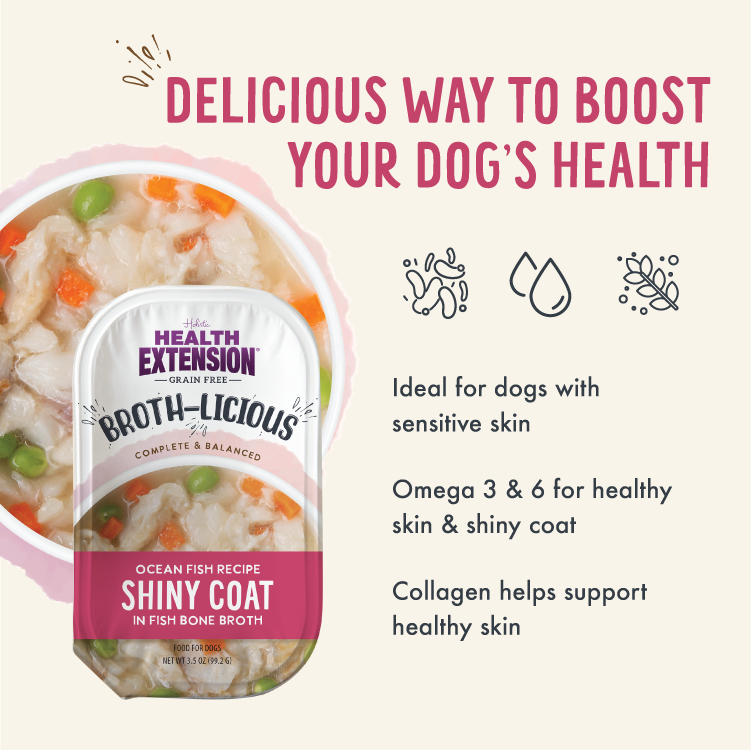 Broth-Licious Ocean Fish in Bone Broth Shiny Coat Recipe for Adult Dogs