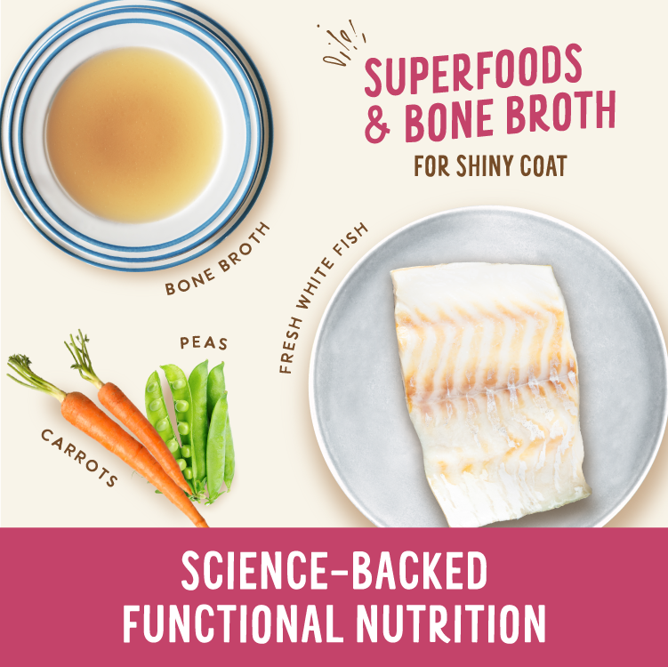Broth-Licious Ocean Fish in Bone Broth Shiny Coat Recipe for Adult Dogs