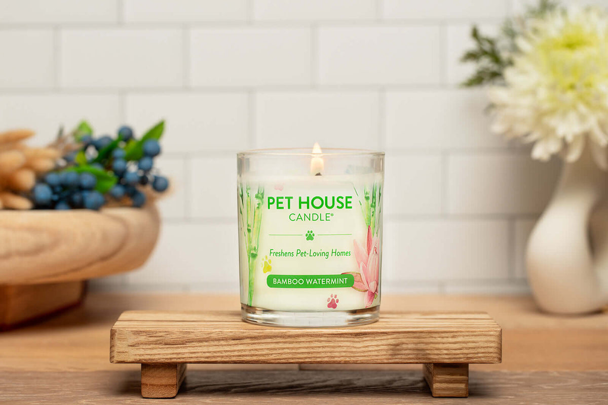 Additional view of Bamboo Watermint Candle — view 4