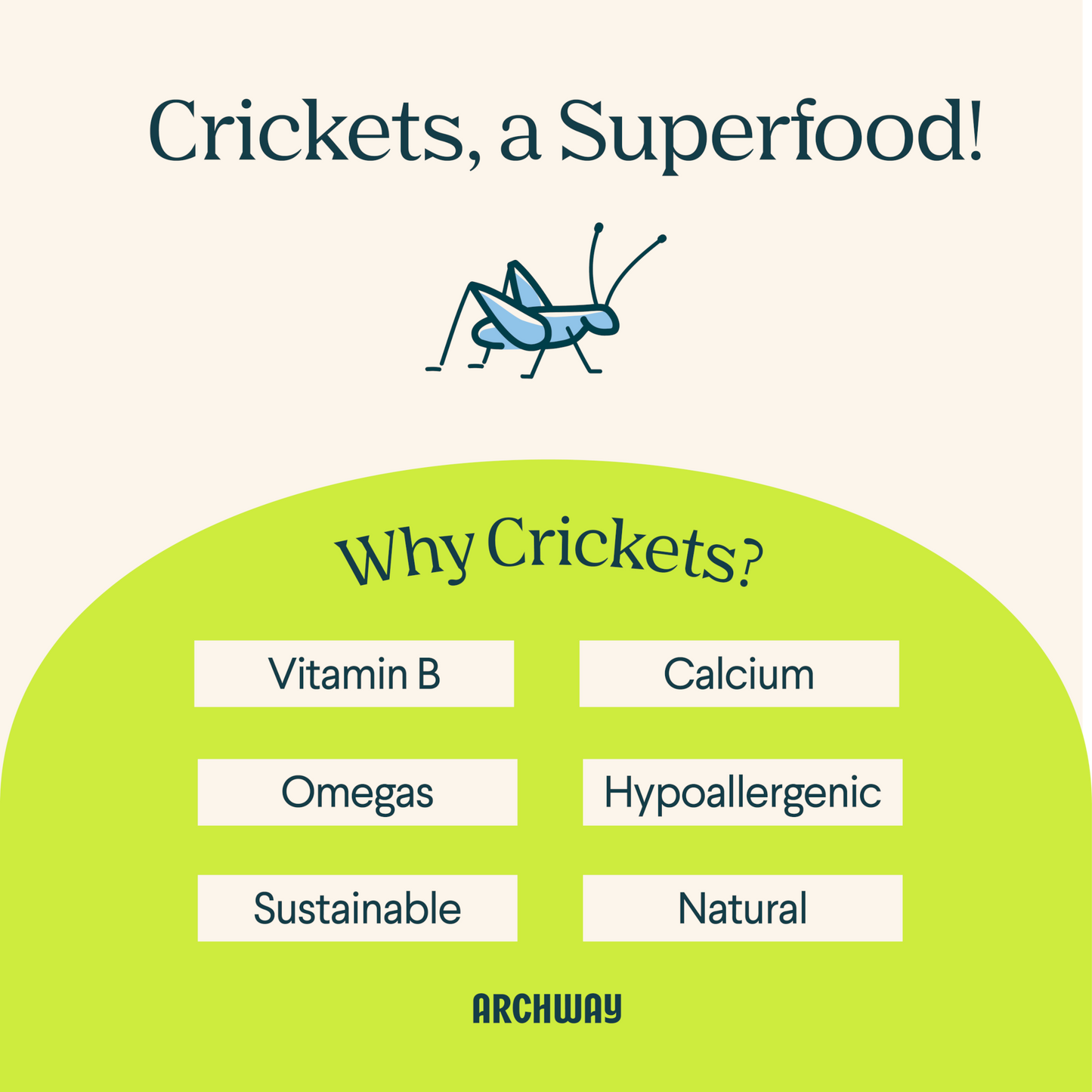 Archway Peanut Butter & Cricket Better Biscuit product information