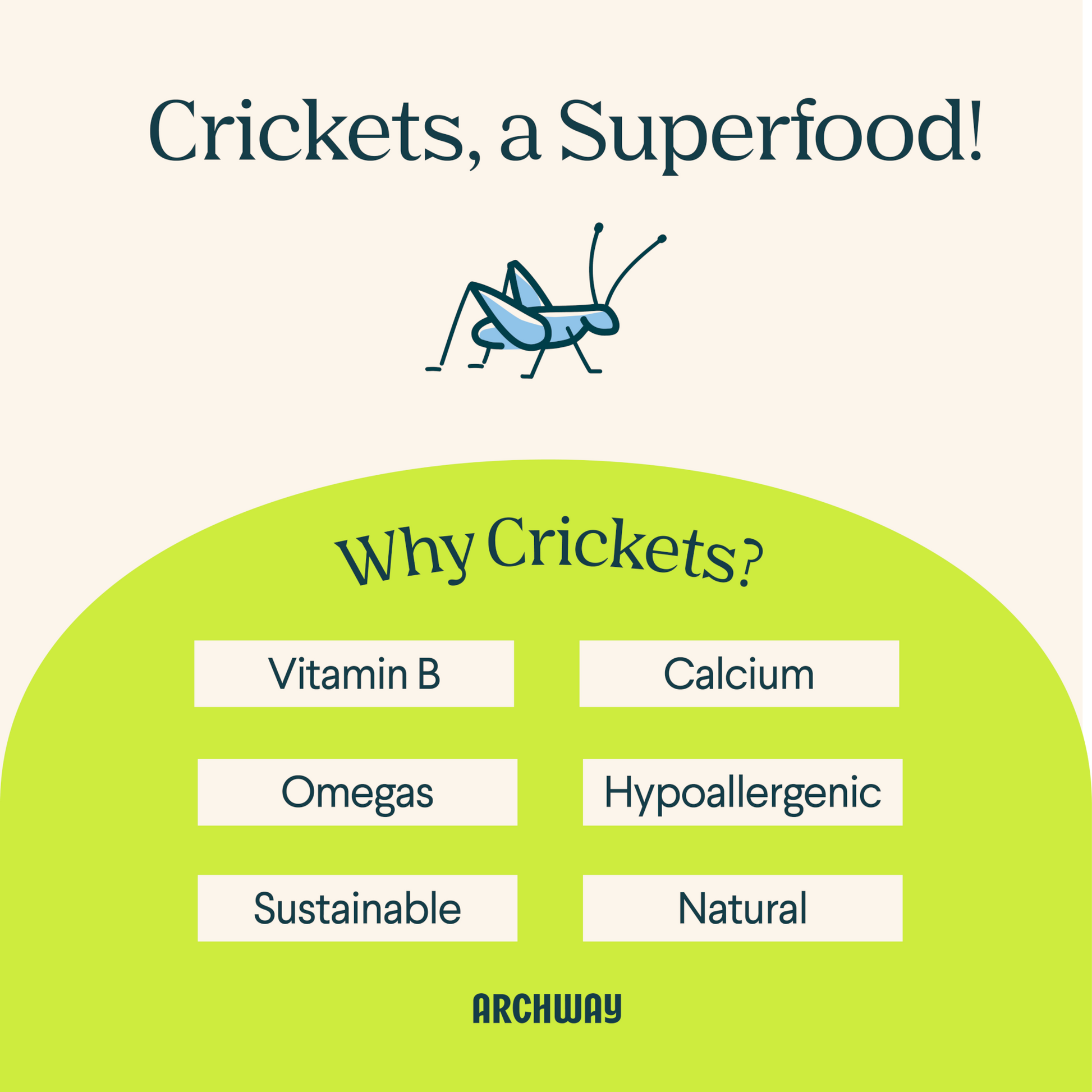 Archway Peanut Butter & Cricket Better Biscuit product information