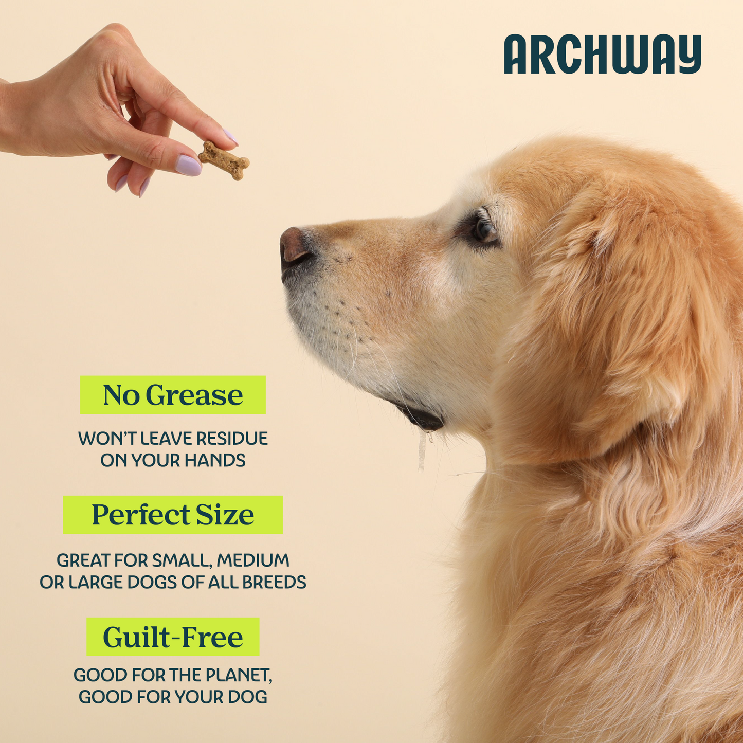 Archway Peanut Butter & Cricket Better Biscuit product information