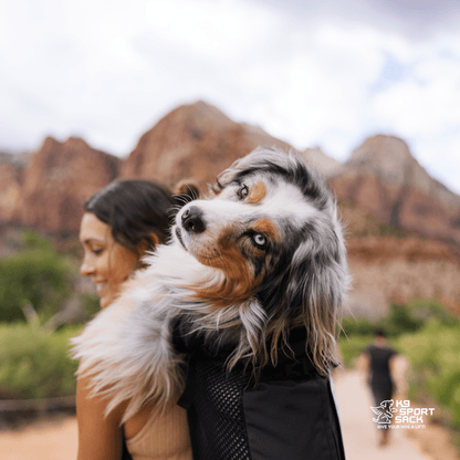 Midnight Black K9 Sport Sack Knavigate dog carrier backpack in use