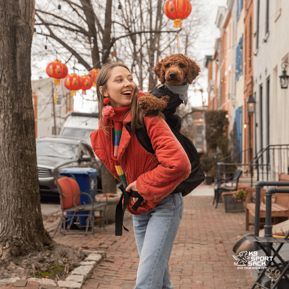 Midnight Black K9 Sport Sack Knavigate dog carrier backpack in use