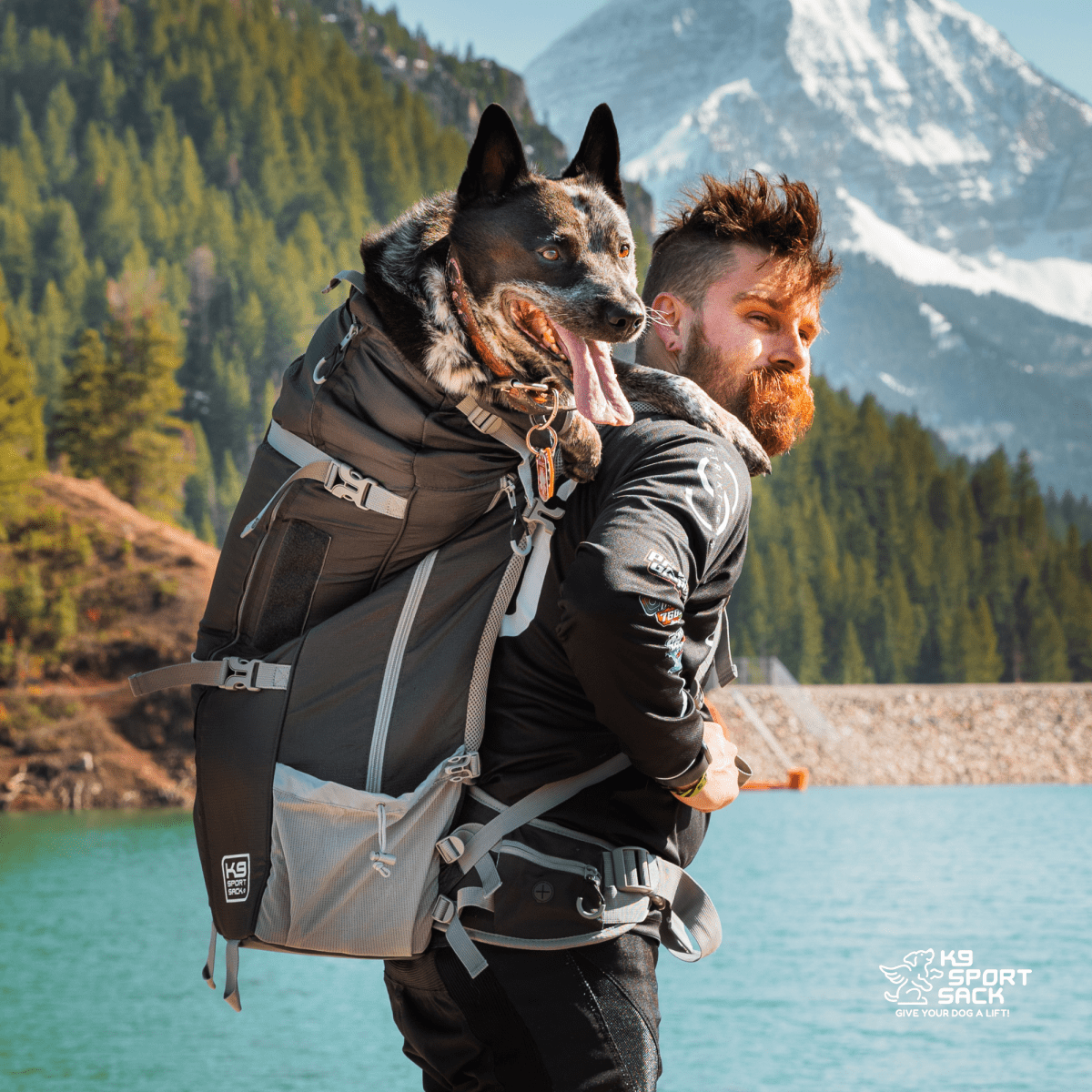 Black K9 Sport Sack Kolossus dog carrier backpack in use