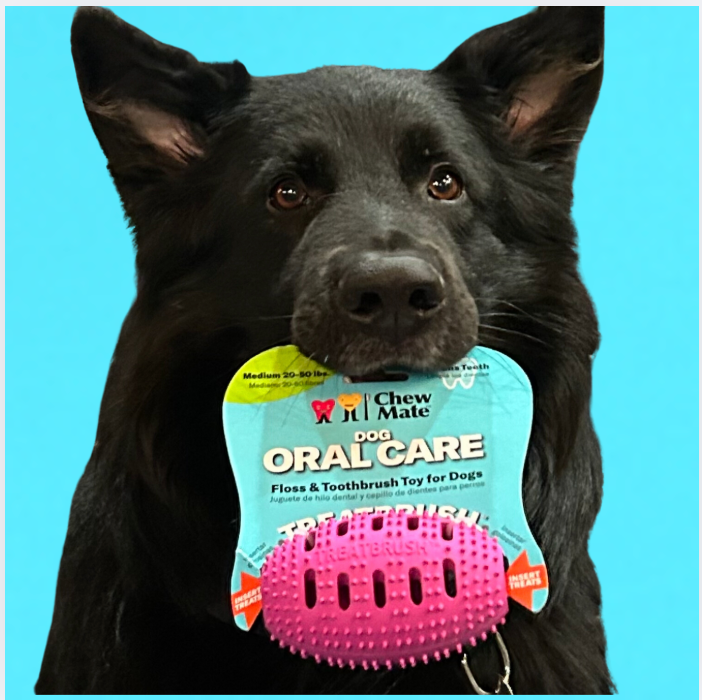 Natural Rubber Football Oral Care Toy for Dogs - 20–50 lb black view