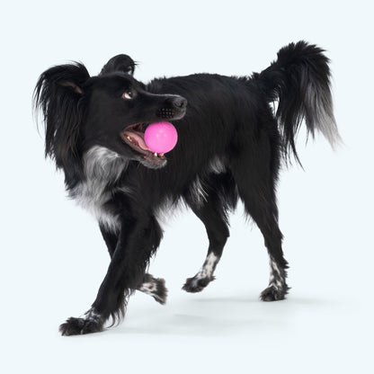 Additional view of the West Paw Boundr dog toy