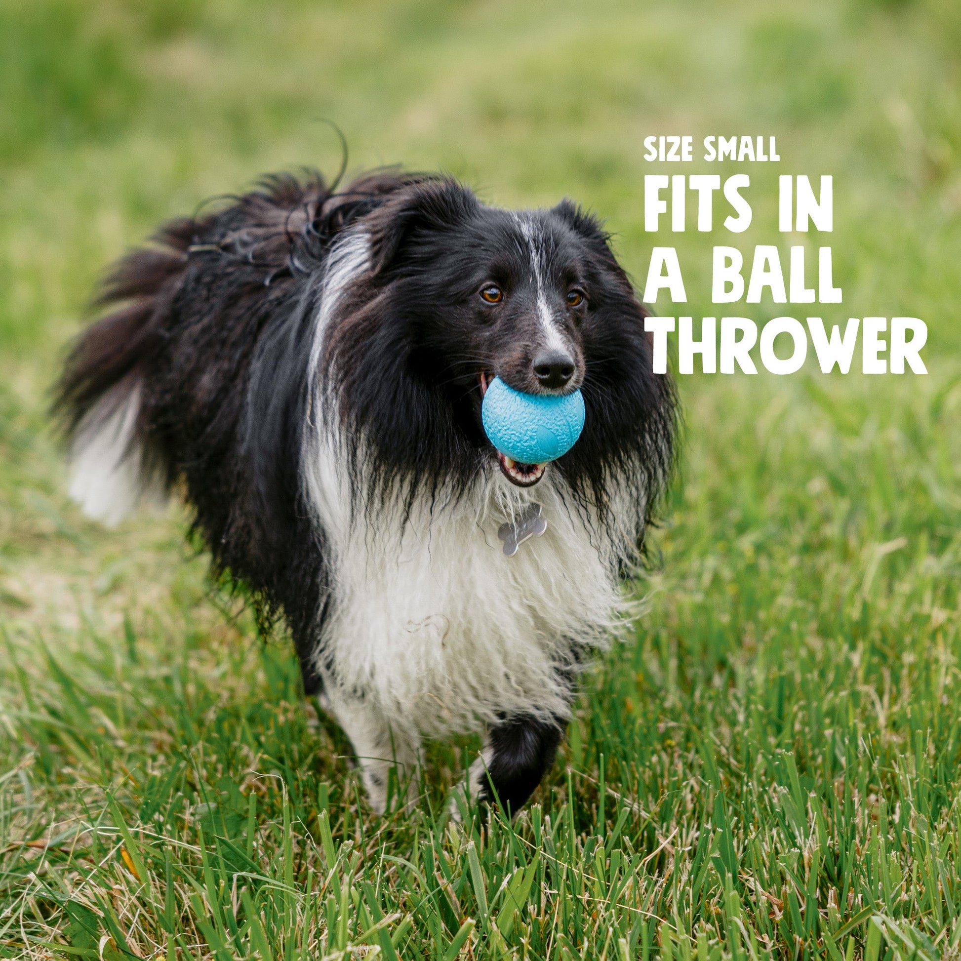 Additional view of the West Paw Boundr dog toy