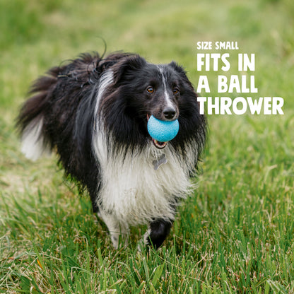 Additional view of the West Paw Boundr dog toy