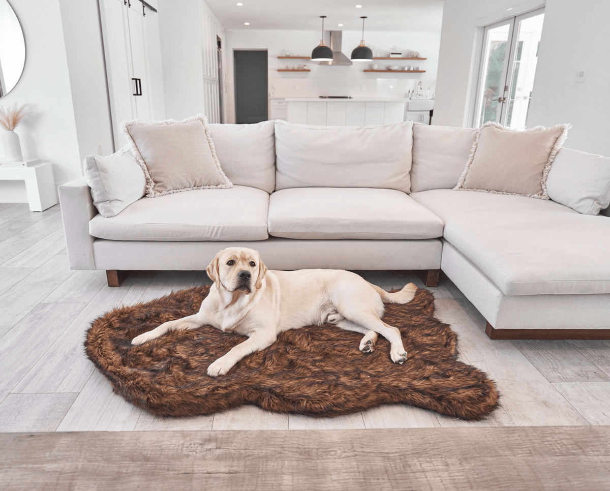 Primary product view of PupRug® Faux Fur Orthopedic Dog Bed - Curve Brown by Paw.com