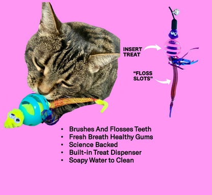 Oral Care Floss & Treat Toothbrush Toy for Cats - Single product information graphic 2