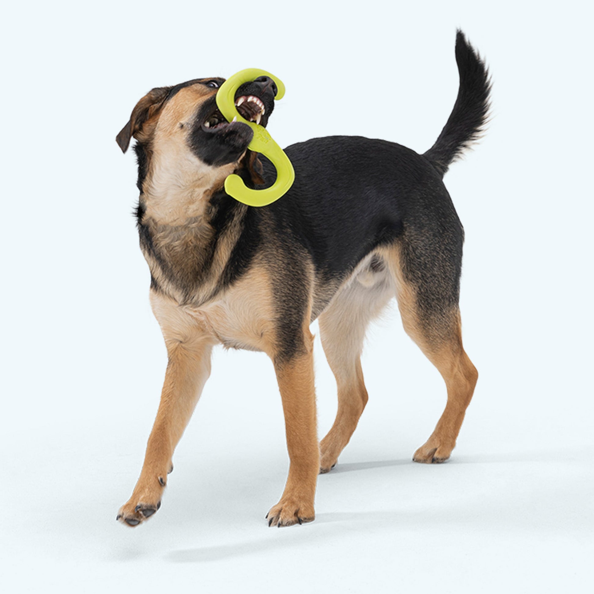 Additional view of the West Paw Bumi dog toy