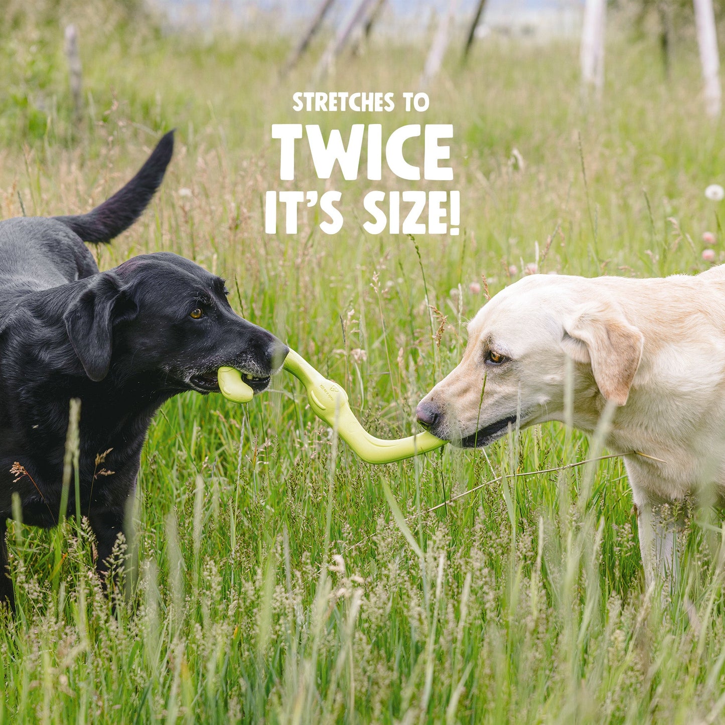 Additional view of the West Paw Bumi dog toy